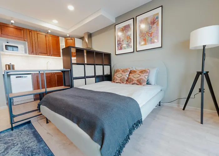 New Modern Next To The Centre Wilno