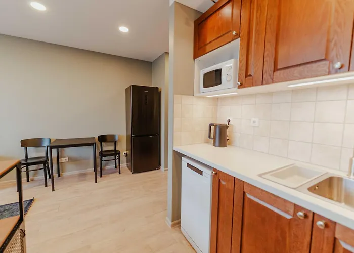 New Modern Next To The Centre * Wilno