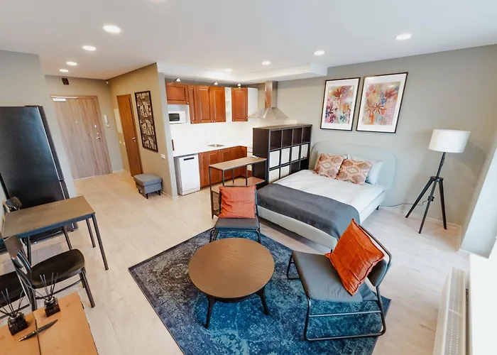 New Modern Next To The Centre Wilno