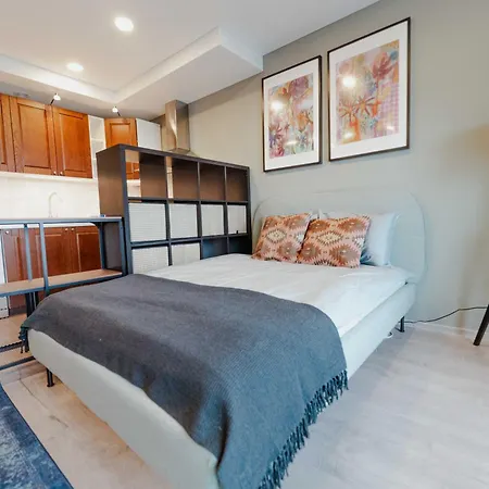 New Modern Next To The Centre Vilnius